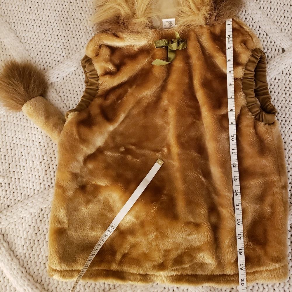 Childs Lion Costume